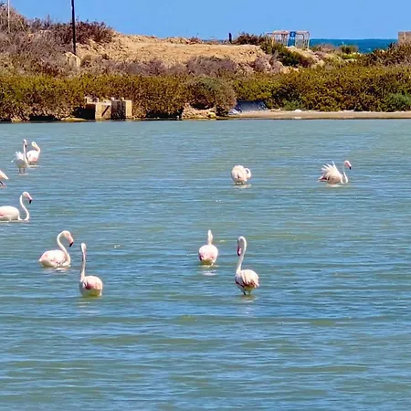 Bergantin 30 Appartement Torrevieja